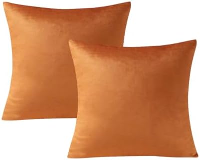 VAKADO Pumpkin Fall Throw Pillow Covers Velvet 16x16 Set of 2 by VAKADO