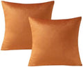 VAKADO Pumpkin Fall Throw Pillow Covers Velvet 18x18 Set of 2 by VAKADO