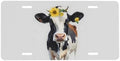 Cow Flower Crown Front License Plate 6" * 12" for Women