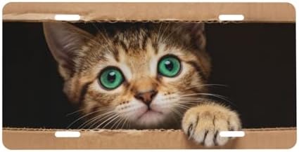 Cute Cat Box Front License Plate 6" * 12" for Women