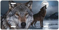 Wolf Full Moon Snowy Landscape Cool Front License Plate 6x12 Inch