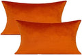 VAKADO 12x20 Set of 2 Fall Burnt Orange Throw Pillow Covers Decorative Velvet Lumbar Rectangle Decoration Cushion Covers Home Bedroom Decor for Living Room Couch Sofa Car by VAKADO