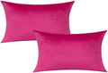 VAKADO 12x20 Lumbar Velvet Soft Solid Throw Pillow Covers Set of 2 Decorative Rectangle Cozy Cushion Covers Home Decor for Living Room Couch Sofa Car by VAKADO