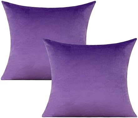 VAKADO Purple Throw Pillow Covers Decorative 20x20 Set of 2 Outdoor Decor Couch Cushion Covers Pillowcases Home Bed Decoration for Sofa Bedroom Office by VAKADO