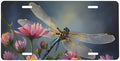 Dragonfly Art Front License Plate 6" * 12" for Women