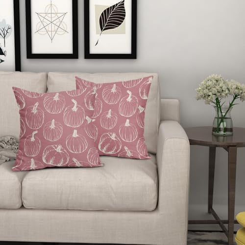 Pink Fall Pumpkin Pillow Covers 24x24 Set of 2 Autumn Themed Thanksgiving Cream Print Decorative Throw Pillows Outdoor Pillowcase Farmhouse Linen Cushion Case Decor for Home Sofa Couch Bed - Image 7