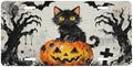 Halloween Pumpkin Front License Plate Car Decorative License Plates