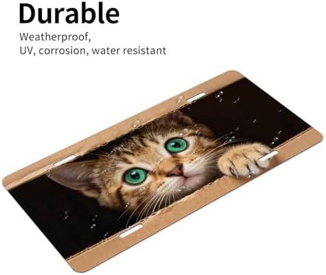 Cute Cat Box Front License Plate 6" * 12" for Women