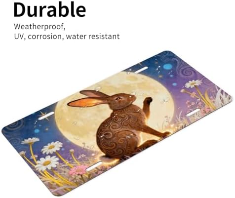 Moon Bunny Front License Plate Car Decorative License Plates