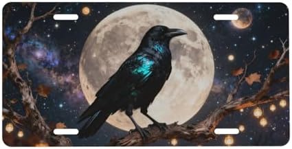 Raven Moon Crow Starry Sky Cool Front License Plate 6x12 Inch