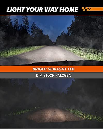 SEALIGHT H11 H16 LED Fog Light Bulb, Real 1:1 Mini Size, 6500K Cool White 6000LM H8/H16 LED Fog Lights For Cars,Trucks,SUV, 400% Brightness With Strong Penetration, 3 Mins Plug-N-Play, Pack of 2