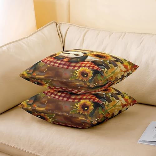 Manfei Cartoon Panda Pillow Covers Pack of 2,Rustic Sunflower Farmhouse Sunshine Double Sides Print Cushion Covers,Natural Lovely Wild Animal Square Couch Pillow Covers,24"x 24" - Image 3