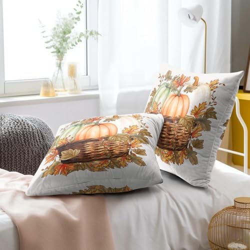 Autumn Pumpkin in The Basket Throw Pillow Covers 22X22 Inches Set of 2 Fall Maple Leaf Flower Pillowcase Soft Cotton Square Harvest Thanksgiving Cushion Covers for Home Sofa Bedroom Decoration - Image 6