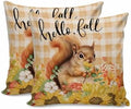 Fall Pillow Covers 16x16 Inch Set of 2, Thanksgiving Decorations Squirrel Sunflower Outdoor Throw Pillow Covers, Plaid Leaf Autumn Holiday Square Pillowcases for Patio Sofa Couch Bedroom Decorative by JasmineM