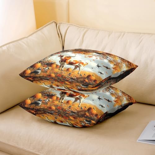 Fall Cattle Pillow Case Covers Double Sides,Autumn Farmhouse Pumpkin Maple Leaves Tree Pack of 2 Pillow Covers,Rustic Farm Animal Cabin Cow Decorative Throw Pillow Covers,20"x 20" - Image 3