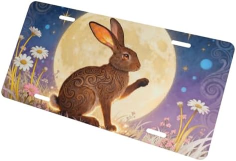 Moon Bunny Front License Plate Car Decorative License Plates