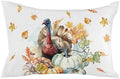 Pillow Covers 20x30 Inch - Queen Thanksgiving Watercolor Turkey with Pumpkins White Soft Brushed Microfiber Pillowcases with Hidden Zipper Closure Bed Pillow Shams for Bedroom Sofa Car by T%26H+XHome