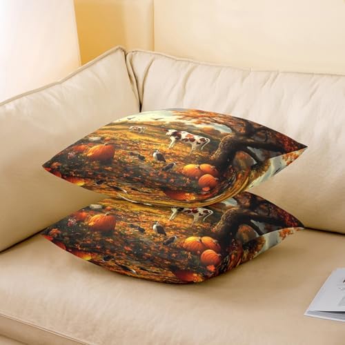 Rustic Cow 22"x 22" Pillow Covers,Farmhouse Cattle Animal Fall Cabin Throw Pillow Case Covers,Autumn Pumpkin Maple Trees Leaves Natural Scenery Double Sides Print Cushion Covers,2 Pack - Image 3