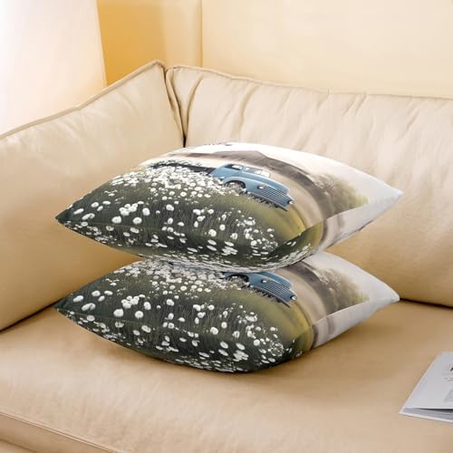 Manfei Rustic Cabin Double Sides Print Pillow Covers 2 Pack,Vintage Treal Truck Farmhouse Throw Pillow Case Covers,Natural White Daisy Flowers Vintage Cushion Covers,18"x18" - Image 3