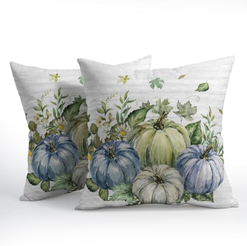 Fall Pumpkin Pillow Covers 24x24 Set of 2 Watercolor Highly Absorbent - Image 2