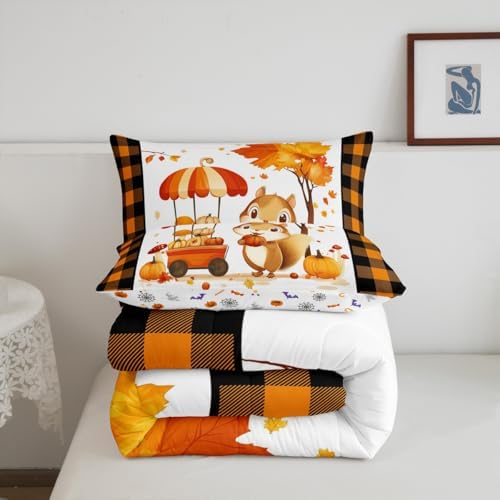 Erosebridal Squirrel Kids Comforter Set | Fall Bedding Queen Size Thanksgiving Autumn Leaves Down Comforter Farmhouse Nature Scenery Duvet Set for Bedroom - Image 6