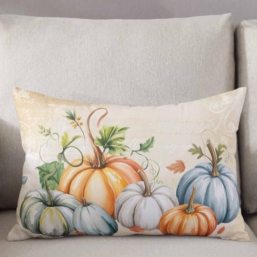 Pillow Covers 24x36 Inch - Body Fall Thanksgiving Orange Blue Grey Pumpkin Autumn Harvest Soft Brushed Microfiber Pillowcases with Hidden Zipper Closure Bed Pillow Shams for Bedroom Sofa Car - Image 2