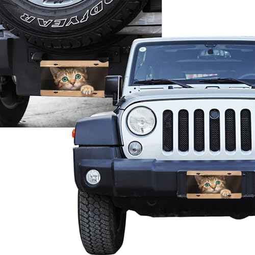 Cute Cat Box Front License Plate 6" * 12" for Women