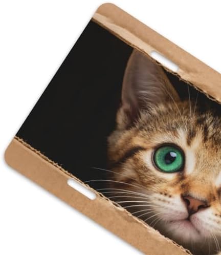 Cute Cat Box Front License Plate 6" * 12" for Women