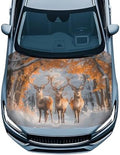 Fall Leaves Elk Car Hood Cover Stretchable Polyester,Engine Cover，Elastic Fabrics Can be Washed,Car Bonnet All-Season Protection