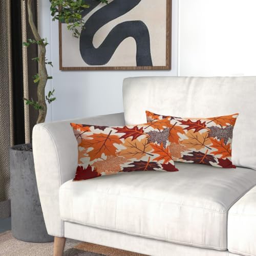 Fall Leaves Pillow Covers 12x20 Set of 2, Maple Leaf Autumn Harvest Thanksgiving Decorative Lumbar Throw Pillow Cases Holiday Outdoor Seasonal Farmhouse Decor for Sofa Couch Bed - Image 6