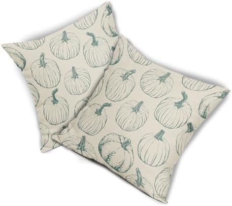 Light Blue Pumpkin Fall Pillow Covers 20x20 Set of 2 Autumn Themed Thanksgiving Harvest Print Decorative Throw Pillows Outdoor Farmhouse Pillowcases Cushion Case Seasonal Decor for Couch Sofa Bed - Image 7