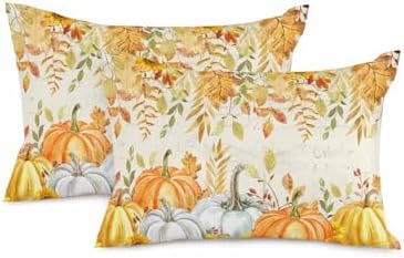 JasmineM Fall Pumpkin Pillow Covers 12x20 Inch Set of 2, Thanksgiving Decorations Vintage Leaves Outdoor Throw Pillow Covers, Autumn Holiday Square Pillowcases for Patio Sofa Couch Bedroom Decorative by JasmineM
