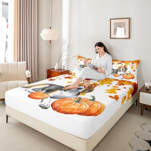 Fall Pumpkin Sheet Set Retro Watercolor Sausage Dog Fitted Sheet Full Thanksgiving Harvest Seasonal Bed Sheets for Kids Boys Girls,Happy Fall Maple Leaf Bedding Soft Flat Sheeet Orange 4 Pcs - Image 7