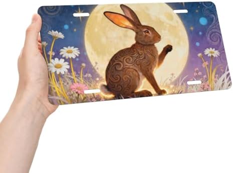 Moon Bunny Front License Plate Car Decorative License Plates