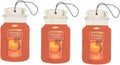 Yankee Candle Classic Paper Car Jar Air Freshener, Hanging Car Freshener, Long Lasting Odor Neutralizing Car Fragrance, Spiced Pumpkin (Pack of 3)