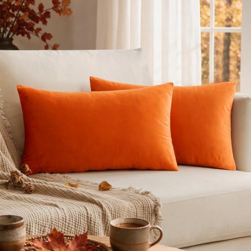 VAKADO 12x20 Set of 2 Fall Burnt Orange Throw Pillow Covers Decorative Velvet Lumbar Rectangle Decoration Cushion Covers Home Bedroom Decor for Living Room Couch Sofa Car - Image 2