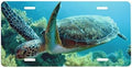 Sea Turtle Ocean Front License Plate 6" * 12" for Women
