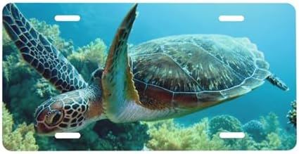 Sea Turtle Ocean Front License Plate 6" * 12" for Women
