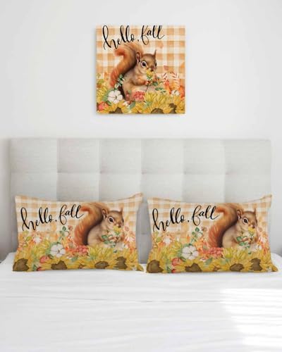 Fall Pillow Covers 12x20 Inch Set of 2, Thanksgiving Decorations Squirrel Sunflower Outdoor Throw Pillow Covers, Plaid Leaf Autumn Holiday Square Pillowcases for Patio Sofa Couch Bedroom Decorative - Image 3
