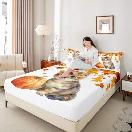 Cute Pumpkin Cat Bed Sheets King Kawaii Watercolor Cat Sheet Set For Kids Boys Girls Autumn Fall Maple Leaf Bedding Thanksgiving Harvest Seasonal Fitted Sheet Orange White Flat Sheet 2 Pillow Cases - Image 7