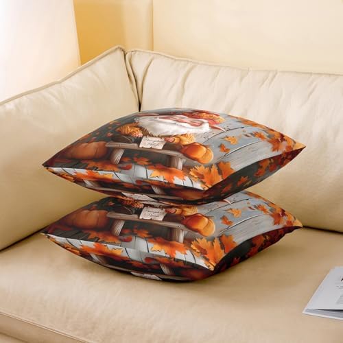 Fall Gnome Throw Pillow Covers 2 Pack,Autumn Orange Maple Leaves Pumpkin Double Sides Print Cushion Covers for Sofa,Rustic Farmhouse Wooden Plank Retro Pillow Covers,22"x 22" - Image 3
