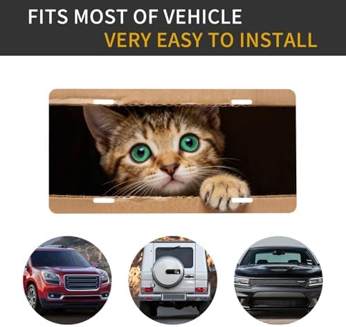 Cute Cat Box Front License Plate 6" * 12" for Women