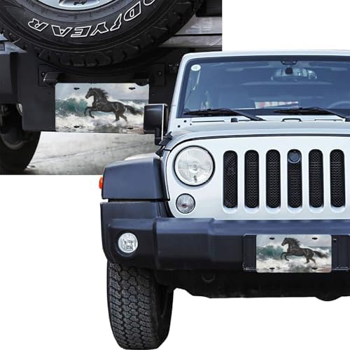 Dark Horse Sea Front License Plate Car Decorative License Plates