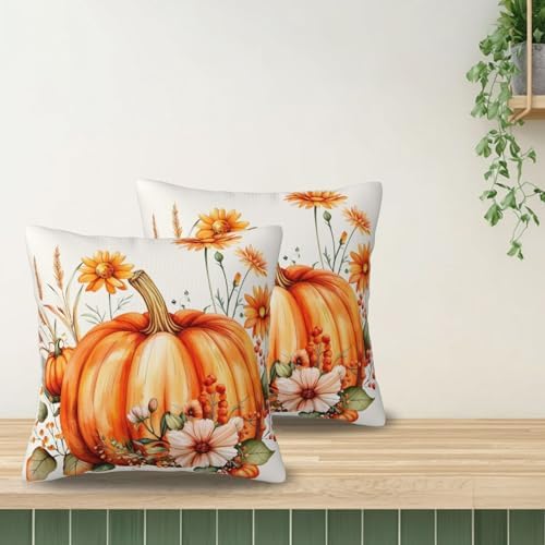 KiuLoam Fall Orange Pumpkin Pillow Covers 18x18 Inch Set of 2, Floral Autumn Thanksgiving Print Decorative Throw Pillows, Rustic Farmhouse Outdoor Cushion Covers for Living Room Sofa Couch Bedroom - Image 5