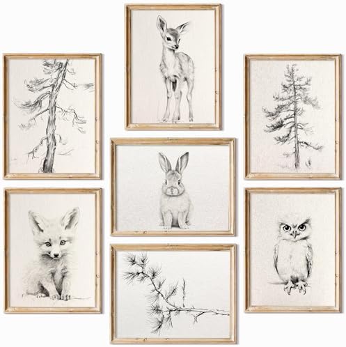 Vintage Nursery Wall Art Woodland Animal Canvas Decor Baby Room Wall Art Forest Animal Pictures Kids Tree Prints Posters Nature Deer Fox Painting Nursery Artwork for Bedroom 8x10x7 Inch Framed by Unknown