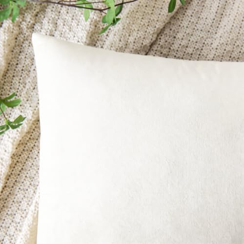 VAKADO 16x16 Beige Cream Velvet Throw Pillow Covers Decorative Soft Solid Square Cushion Cases Set of 2 Home Decor for Couch Car Sofa Chair Bedroom Office - Image 3