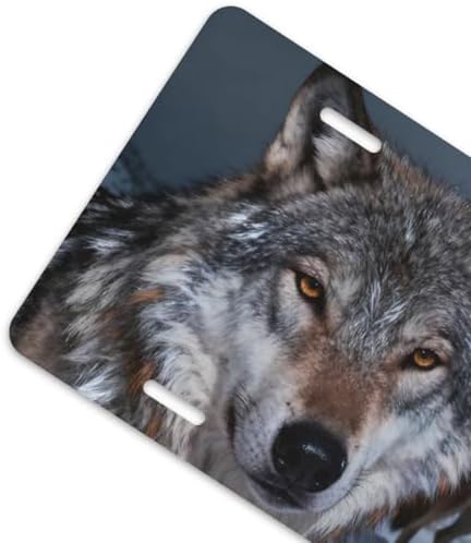 Wolf Full Moon Snowy Landscape Cool Front License Plate 6x12 Inch