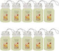Yankee Candle Paper Car Jar, Air Freshener for Long Lasting Fragrance, Iced Berry Lemonade, 10 Packs by YankeeCandle