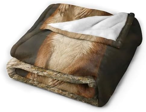 Cute Ferret Blanket for Women, Gifts for Girls, Animal Blankets for Kids, Soft Cozy Lightweight Throw for Bed Sofa Home Travel Room Decor, 50x60 Inch - Image 2
