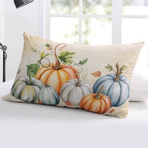 Pillow Covers 24x36 Inch - Body Fall Thanksgiving Orange Blue Grey Pumpkin Autumn Harvest Soft Brushed Microfiber Pillowcases with Hidden Zipper Closure Bed Pillow Shams for Bedroom Sofa Car - Image 4